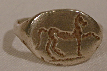 horsering