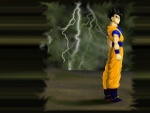 Dragon Ball Z -- Gohan