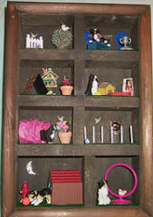 Agility Shadow Box