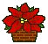 Christmas Decor