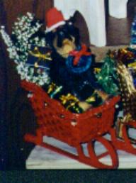 Beautiful dog in sleigh