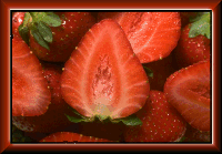 strawberries.gif (18651 bytes)