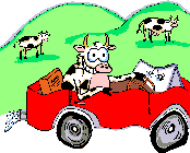 MadCow Racing