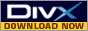 Download DivX NOW!