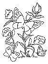 COLOURING2.gif (14345 bytes)