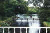 Demesne Lake Waterfall (1).jpg (53766 bytes)