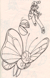 copokemon001.gif (80385 bytes)