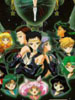 Senshi Group Gallery