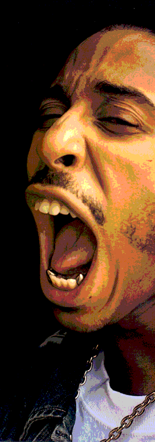 Ludacris