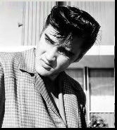 Elvis in the 1950s