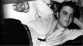 Elvis taking a snooze.