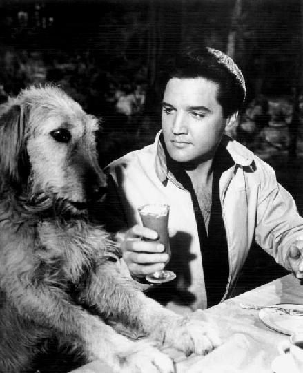 Elvis In Spinout