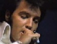 Elvis up close