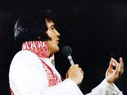 Elvis onstage in jumpsuit with flames on it.