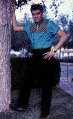 Elvis by a tree.