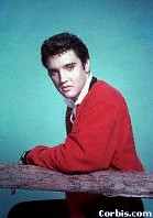 Elvis by a fence
