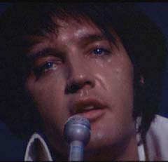 Close up of Elvis