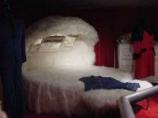 Elvis' featherbed