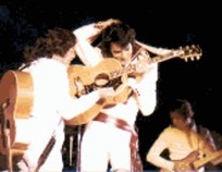 Elvis taking a karate stance onstage.
