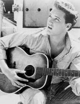 Elvis in  Follow That Dream