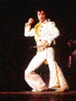 Elvis taking a karate stance onstage.