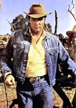 Elvis in Stay Away Joe