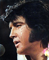 Elvis Up Close During the Aloha Concert.