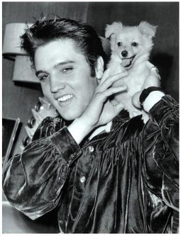 Elvis with his dog Sweet Pea