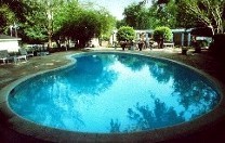 Graceland's swimming pool.