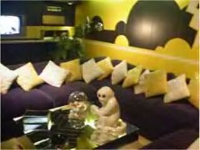 Graceland TV Room