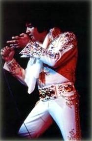 Elvis In Concert