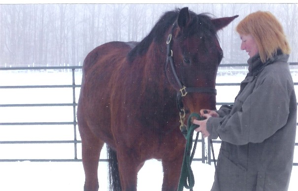 Max, new horse at Graceland with previous owner, Carole-Terese