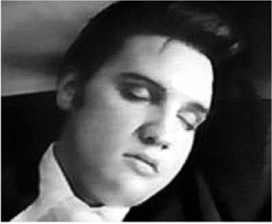 Elvis taking a snooze