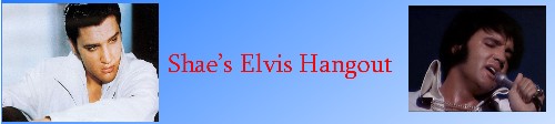 My Website Banner