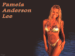 The beautiful Pamela Anderson - Pamela_Anderson_Lee025_1024x768.jpg