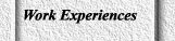 Work Experiences&nbsp;