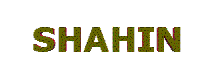 shahing.gif (20553 bytes)