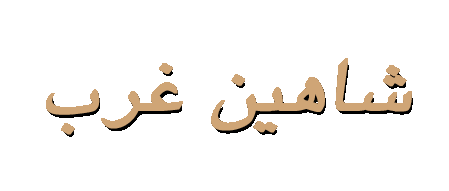 logo.gif (3590 bytes)
