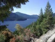 Nature Pics