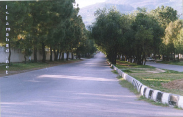 Hill Road
