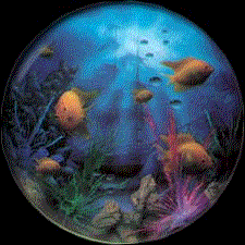 animated fish