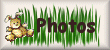Pictures