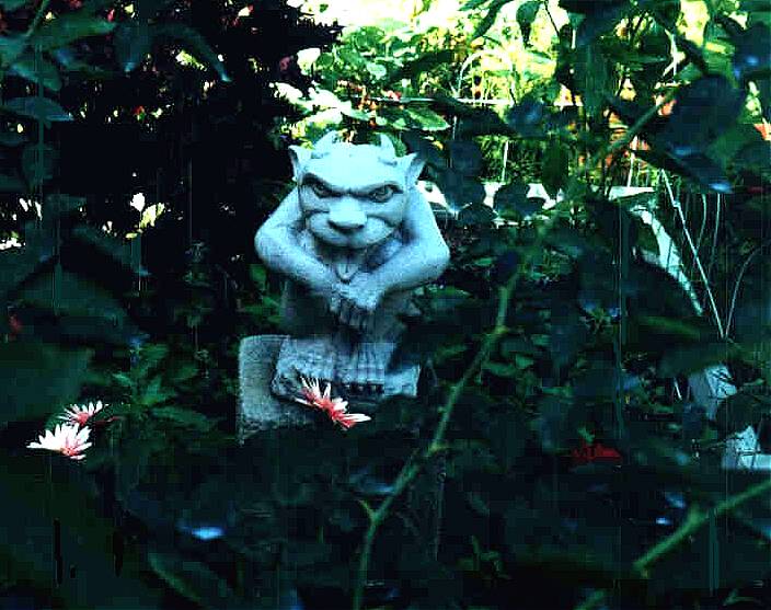 photo by shaky