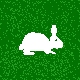 critter