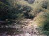Sacred Waters