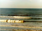 Tynemouth Longsands - NE Coast - England