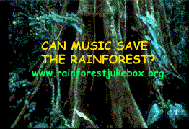 save the rainforest with music here FREE