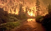 MontanaFire.jpg