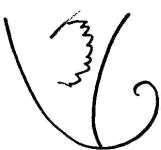 Image14.jpg (6828 bytes)