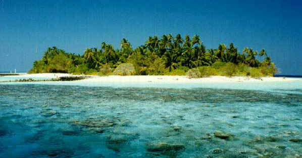 A Maldive island